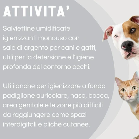 Slais Argenial – 15 Desinfektionstücher für Hunde und Katzen mit kolloidalem Silber und Natriumhyaluronat