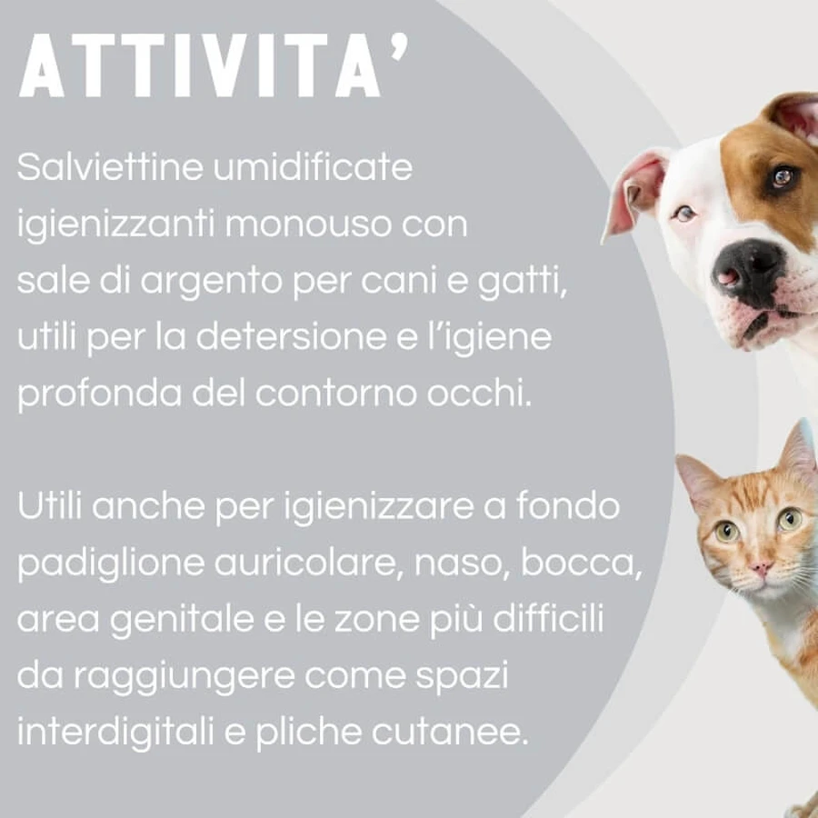Slais Argenial – 15 Desinfektionstücher für Hunde und Katzen mit kolloidalem Silber und Natriumhyaluronat