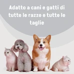 Slais Argenial – 15 Desinfektionstücher für Hunde und Katzen mit kolloidalem Silber und Natriumhyaluronat