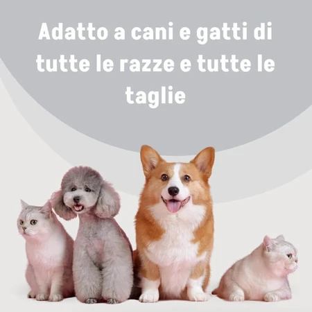 Slais Argenial – 15 Desinfektionstücher für Hunde und Katzen mit kolloidalem Silber und Natriumhyaluronat