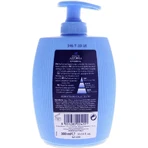 Classic Blue Fern - Liquid Soap, 300 ml