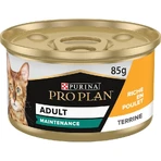 Purina Pro Plan Adult Pâté de pollo - Alimento completo para gatos adultos, 85 g