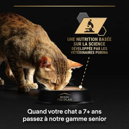 Purina Pro Plan Adult Pâté de pollo - Alimento completo para gatos adultos, 85 g