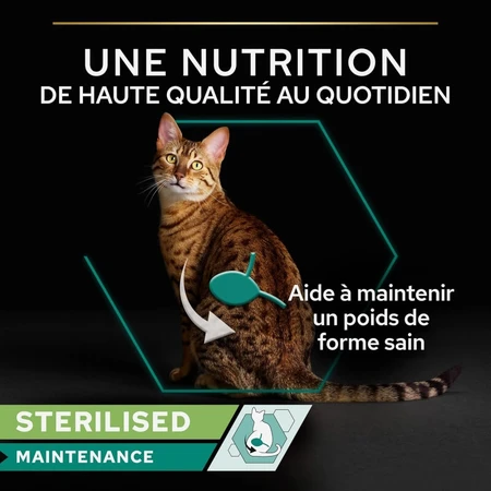 Purina Pro Plan Adult Pâté de pollo - Alimento completo para gatos adultos, 85 g