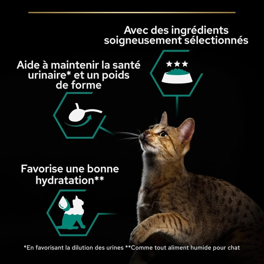 Purina Pro Plan Adult Pâté de pollo - Alimento completo para gatos adultos, 85 g