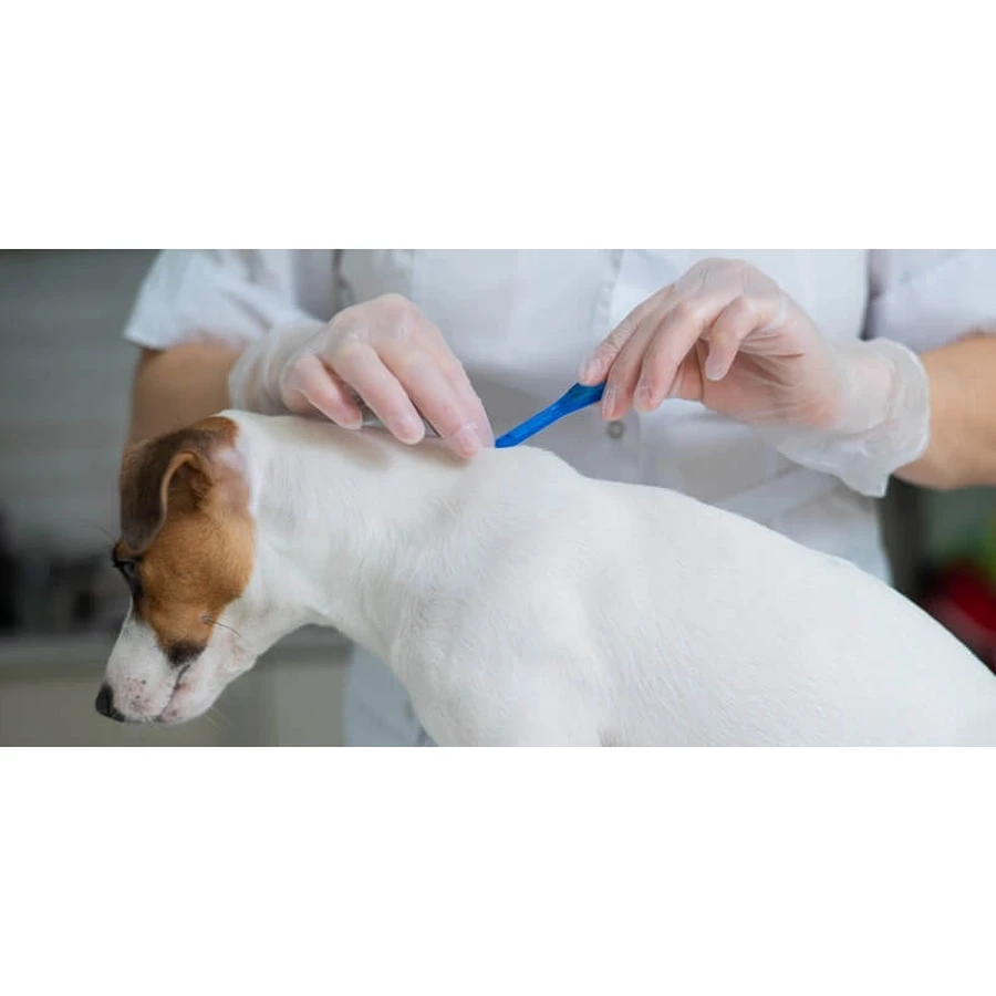 Livisto Fiprex Duo XL – 1 Pipette zur Parasitenbekämpfung für Hunde mit einem Gewicht zwischen 20 und 40 kg