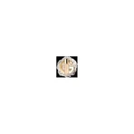 Guerlain Gold Skin Matte Set - Liquid Foundation - No. 2W Warm
