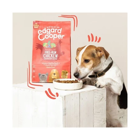 Pienso para perros mayores Edgard & Cooper con pollo de granja y salmón noruego: pienso completo para perros, 700 g
