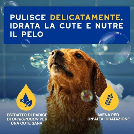 Ceva Animal Health Douxo, S.p.A. - Shampooing hydratant et nourrissant pour chiens, 250 ml