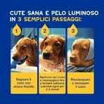 Ceva Animal Health Douxo, S.p.A. - Shampooing hydratant et nourrissant pour chiens, 250 ml