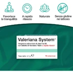 Valeriana System 70 comprimidos - Complemento alimenticio para conciliar el sueño