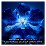 Guerlain Orchidée Impériale La Crème de Longévité - Crème régénérante anti-âge pour le visage - Recharge de 50 ml