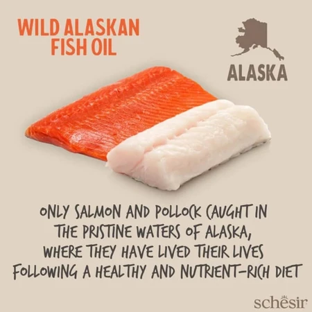 Schesir Wild Alaskan Fish Oil Omega-3 Plus - Complemento alimenticio de aceite de pescado para perros y gatos, 500 ml
