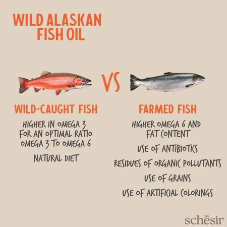 Schesir Wild Alaskan Fish Oil Omega-3 Plus - Complemento alimenticio de aceite de pescado para perros y gatos, 500 ml