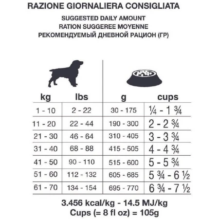 Forza10 Forza 10 Dermo Active Fish - Complete Food for Dogs with Sensitive Skin and Food Intolerances, 4 kg