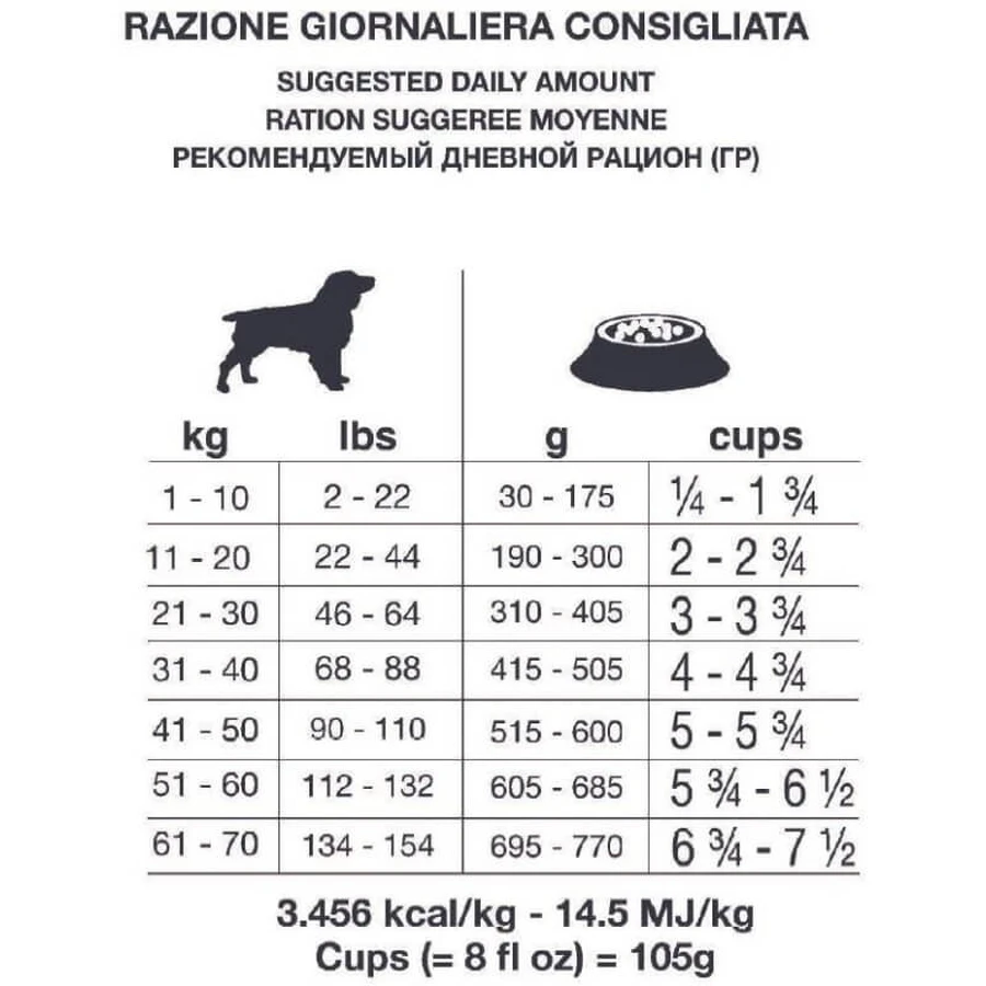 Forza10 Forza 10 Dermo Active Fish - Complete Food for Dogs with Sensitive Skin and Food Intolerances, 4 kg