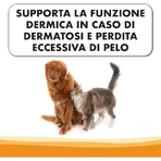 Pharma Cinque Pet Derma Procare-druppels – Voedingssupplement voor honden en katten, 23 g
