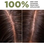 Lazartigue La couleur absolue - Permanent Hair Color No. 5.35 Chocolate