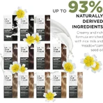 Lazartigue La couleur absolue - Permanent Hair Color No. 5.35 Chocolate
