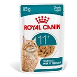 Royal Canin Ageing 11 Plus Jelly – Nassfutter für ältere Katzen ab 11 Jahren, 85 g