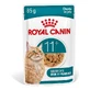 Royal Canin Ageing 11 Plus Jelly - Wet Food for Senior Cats 11 Years and Older, 85 g