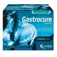 Candioli Gatrocure - Complemento alimenticio para caballos en forma de pasta, 1,2 kg