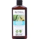 Intra Aloe Vera &amp;amp; Groene Appel - Hydraterende conditioner 250 ml