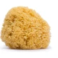 Suavinex Large Natural Sponge for Babies 0m+