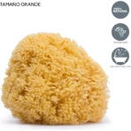 Grande éponge naturelle Suavinex pour bébés à partir de 0 mois