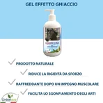 Union Bio Equirelax - Ice-Effect Gel for Sport Horses, 500 ml