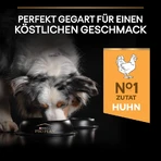 Purina Pro Plan Everyday Nutrition Medium Adult 1+ Chicken - Complete Dog Food, 3 kg