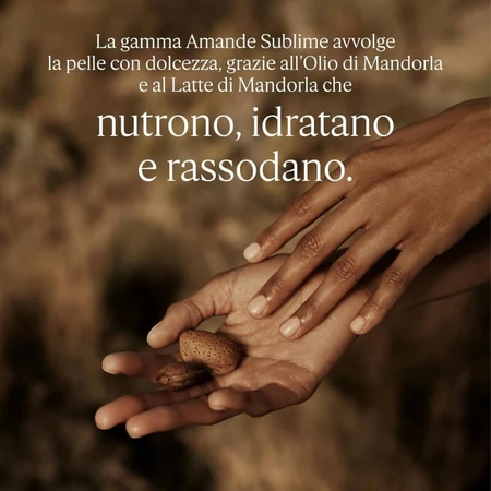 Crema de manos Amande Sublime de L'Occitane - Crema de manos nutritiva, 75 ml