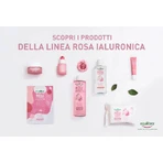 Equilibra Hyaluronic Rose - 25 toallitas desmaquillantes micelares