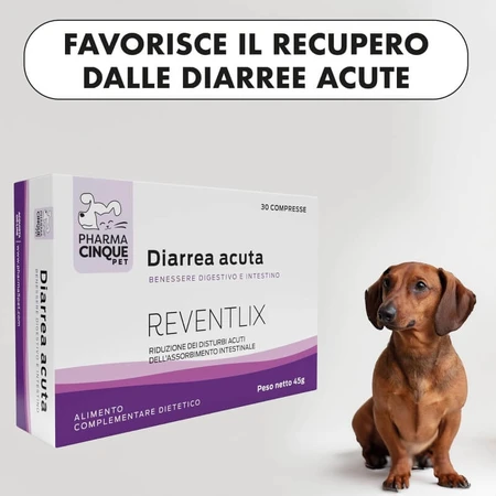 Pharma Cinque Pet Reventlix - Complemento alimenticio para perros y gatos indicado para trastornos intestinales y diarrea, 30 comprimidos