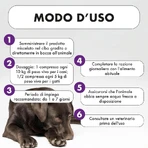Pharma Cinque Pet Reventlix - Complemento alimenticio para perros y gatos indicado para trastornos intestinales y diarrea, 30 comprimidos