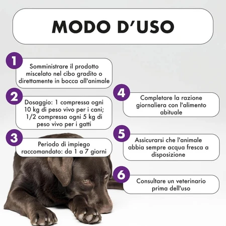 Pharma Cinque Pet Reventlix - Complemento alimenticio para perros y gatos indicado para trastornos intestinales y diarrea, 30 comprimidos