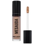Mesauda Pro Light Concealer - Moisturizing Liquid Concealer w60