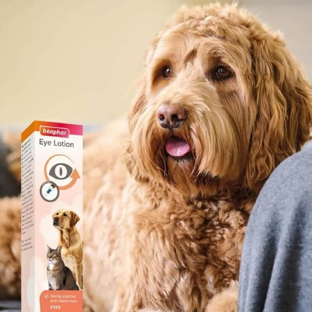 Beaphar Eye Cleaner - Solution naturelle pour le soin des yeux des chiens et des chats, 50 ml