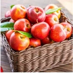 Aliments pour bébés Mellin à la pomme, 6 x 100 g