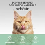 Schesir Complements Tuna and Aloe Jelly Strips - Complete Cat Food, 70 g