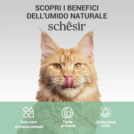 Schesir Complements Tuna and Aloe Jelly Strips - Complete Cat Food, 70 g