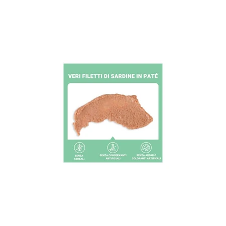 Schesir Paté de sardinas - Pienso completo para gatos, 70 g
