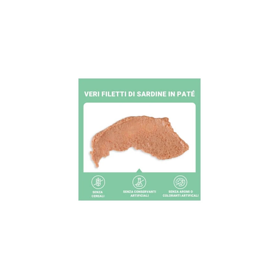 Schesir Paté de sardinas - Pienso completo para gatos, 70 g