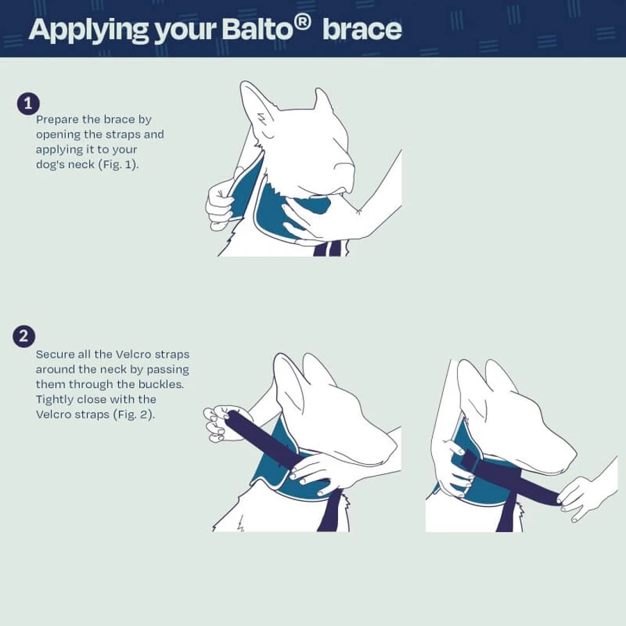 Balto Neck – Starre orthopädische Schutzkragen zur Genesung, Größe XS