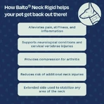 Balto Neck – Starre orthopädische Schutzkragen zur Genesung, Größe XS