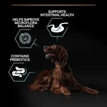 Purina Pro Plan Adult Large Athletic Lamb - Alimento completo para perros adultos con digestión sensible, 14 kg