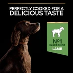 Purina Pro Plan Adult Large Athletic Lamb - Alimento completo para perros adultos con digestión sensible, 14 kg