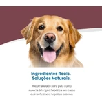 Farmina Vet Life Hepatic Chicken - Compleet dieetvoeding voor honden met leverfalen, 300 g