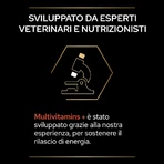 Purina Pro Plan Multivitamins + Cat Supplement, 60 g