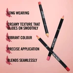 Rimmel Lasting Finish - Langhoudend lippotlood nr. 110 Spice